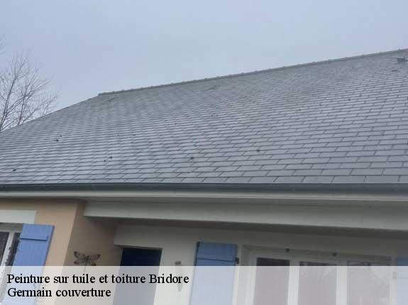 Peinture sur tuile et toiture  bridore-37600 Germain couverture